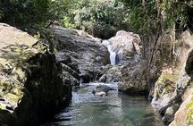 El Yunque Rainforest VIP Tour