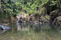 El Yunque Rainforest VIP Tour