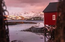 History and Photo Tour Henningsvær and Svinøya