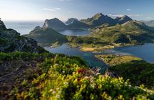 Arctic Trails Hiking Tour from Svolvær