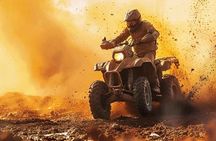 Dinner in agafay desert under the stars with camles&quad tour