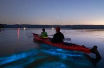 Bioluminescence Kayak Tour at Fort Flagler State Park 