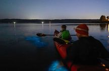 Bioluminescence Kayak Tour at Fort Flagler State Park 