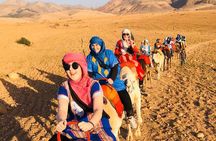 Marrakech: Half Day Agafay Desert Quad Bike Camel Ride and Dinner