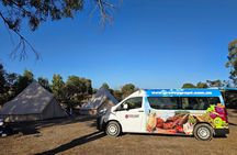 Adelaide: Kangaroo Island 2-Day Epic Adventure Small Group tour 