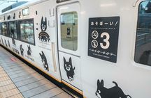Kumamoto and Mount Aso Day Tour from Fukuoka Return by Aso Train