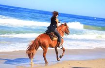 Horseback Riding Adventure in Punta Mita Nayarit