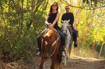 Horseback Riding Adventure in Punta Mita Nayarit