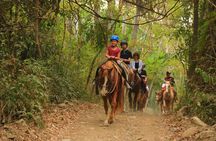 Horseback Riding Adventure in Punta Mita Nayarit