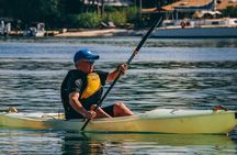 Mangroves and Mansions Guided Kayak Tour on the Noosa River