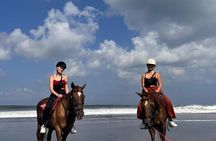 Horse Riding Bali On pigstone beach, Rice Field and village Tour
