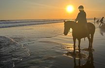 Horse Riding Bali On pigstone beach, Rice Field and village Tour