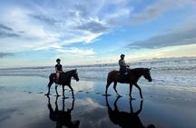 Horse Riding Bali On pigstone beach, Rice Field and village Tour