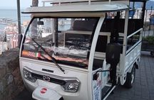 Private Guided Tour by Tuk Tuk in Malaga Beach and City Center