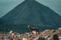 Ilamatepec Santa Ana Volcano Tour: A Budget-Friendly Adventure