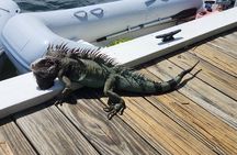 St Thomas - Jeep Tour Customized Itinerary 5hrs