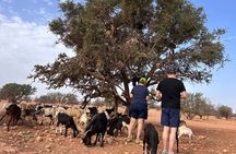 Goat on trees & Crocodile Park Including Tickets and Hotel Pickup