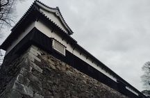 Fukuoka: Fukuoka Castle and Ohori Park Guided Tour