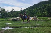 Horseback Riding Through Rice Fields Trails Da Nang Hoi An