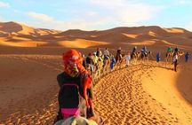 Explore Thar Desert with Camping Ride