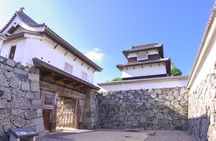 Fukuoka: Fukuoka Castle and Ohori Park Guided Tour