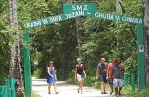 Zanzibar: Jozani forest, Sea turtles Sanctuary & Rock Restaurant 