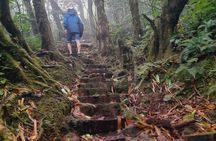 Mombacho Volcano Clouded Forest Trail and Ziplining 