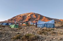 5 Day Kilimanjaro Marangu Route Adventure Climb