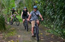 Cycling and Cooking Class in Ubud