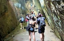 Tijuca Forest Caves and Falls Tour in Rio de Janeiro