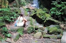 Tijuca Forest Caves and Falls Tour in Rio de Janeiro