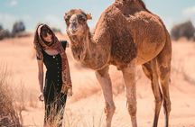 3-Day Sahara Desert Tour from Fes to Marrakech with Camel Trek