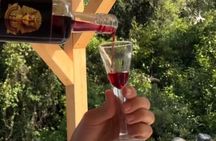 Korcula to Dubrovnik AIRPORT transfer with WINE tasting INCLUDED