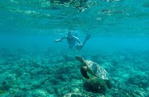 Private Tour - Akumal Snorkeling 3 Cenotes and Ziplines
