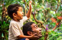 California Academy of Sciences General Admission Ticket