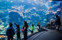 California Academy of Sciences General Admission Ticket
