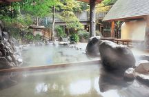 Hakone’s Best Hot Springs with Lake Ashi Cruise from Tokyo