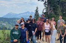 Mt. Rainier National Park Private Tour