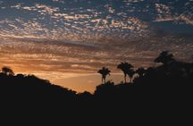 Cachasol Raicilla and Tequila Tour