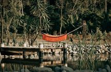 Cachasol Raicilla and Tequila Tour