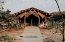 Cachasol Raicilla and Tequila Tour