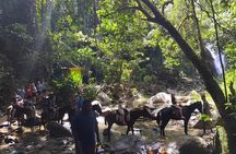 Private Tour Biausevu Waterfall and Fijian Village Experience