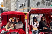 New York City Private Tour