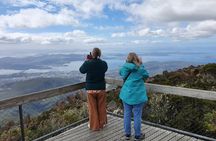 Mount Wellington Pinnacle 2 Hours Small Group Tour