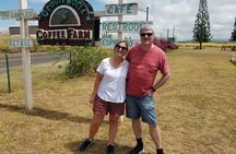 V.I.P Dole, Rum Distillery, N.Shore, Haleiwa Circle island tour