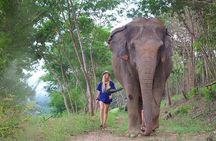 Living Green Elephant Sanctuary Tour from Bangkok and Pattaya