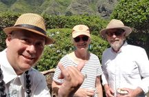 V.I.P Dole, Rum Distillery, N.Shore, Haleiwa Circle island tour