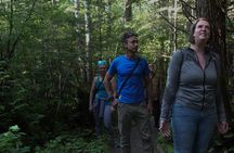 Shared Mindfulness in Wilderness Tour From Alaska