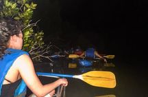 Bio Bay Tour Vieques – Full Clear Canoes Experience