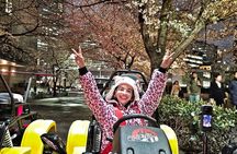 Go Kart Tokyo Spring Tour Experience